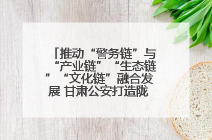 推动“警务链”与“产业链”“生态链”“文化链”融合发展 甘肃公安打造陇原旅游警务品牌
