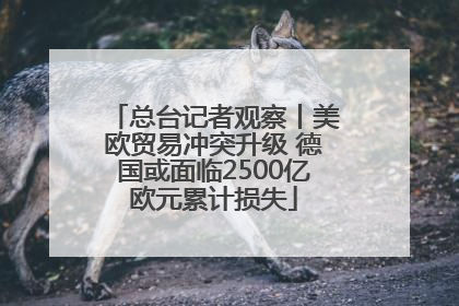 总台记者观察丨美欧贸易冲突升级 德国或面临2500亿欧元累计损失