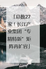 总数27家！长江产业集团“专精特新”矩阵再扩容