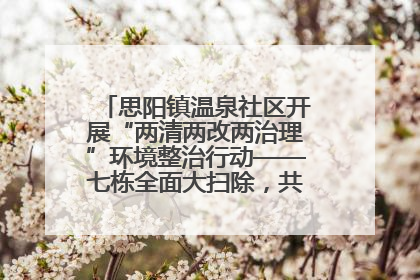 思阳镇温泉社区开展“两清两改两治理”环境整治行动——七栋全面大扫除，共建洁净家园