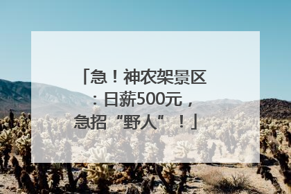 急！神农架景区：日薪500元，急招“野人”！