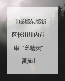成都东部新区长出川内首串“蓝精灵”番茄
