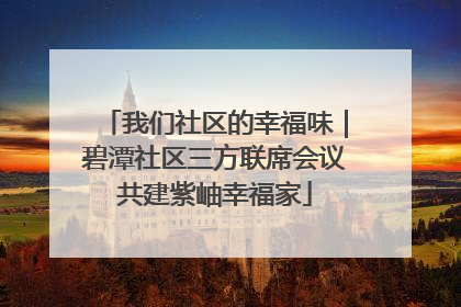 我们社区的幸福味｜碧潭社区三方联席会议共建紫岫幸福家