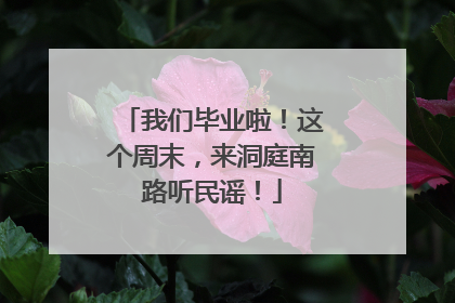 我们毕业啦！这个周末，来洞庭南路听民谣！