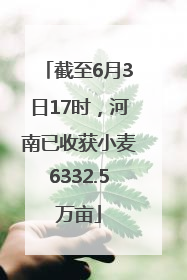 截至6月3日17时，河南已收获小麦6332.5万亩