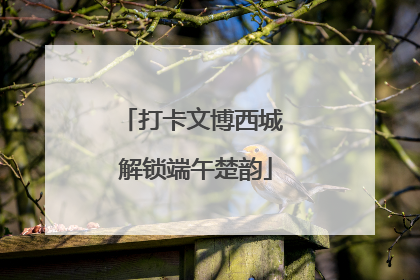 打卡文博西城 解锁端午楚韵