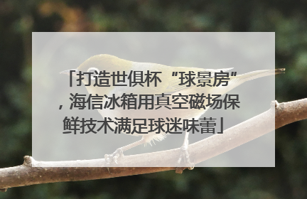 打造世俱杯“球景房”，海信冰箱用真空磁场保鲜技术满足球迷味蕾