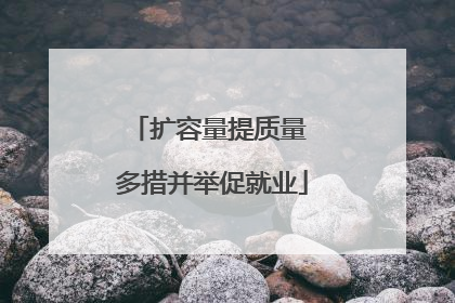 扩容量提质量 多措并举促就业