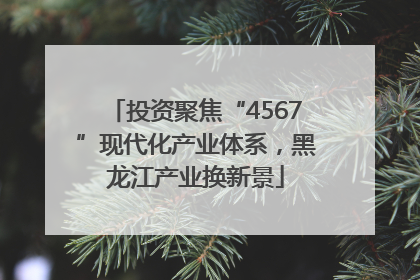 投资聚焦“4567”现代化产业体系，黑龙江产业换新景