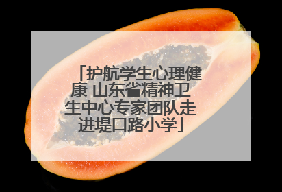 护航学生心理健康 山东省精神卫生中心专家团队走进堤口路小学