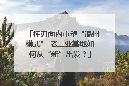 挥刃向内重塑“温州模式” 老工业基地如何从“新”出发？