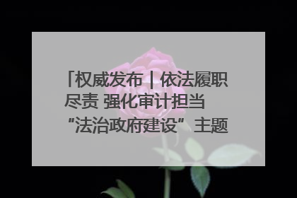 权威发布｜依法履职尽责 强化审计担当 “法治政府建设”主题系列新闻发布会市审计局专场召开