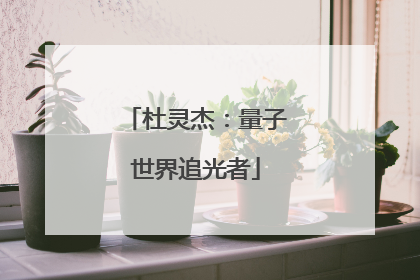 杜灵杰：量子世界追光者