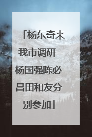杨东奇来我市调研 杨国强陈必昌田和友分别参加
