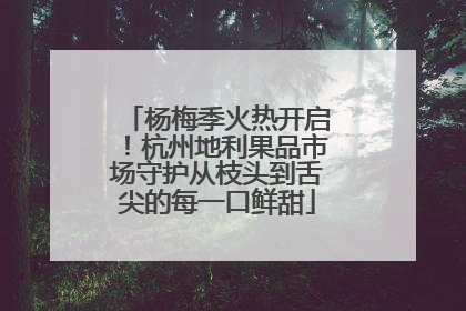 杨梅季火热开启！杭州地利果品市场守护从枝头到舌尖的每一口鲜甜