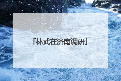 林武在济南调研