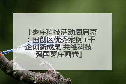 枣庄科技活动周启幕：国创区优秀案例+千企创新成果 共绘科技强国枣庄画卷