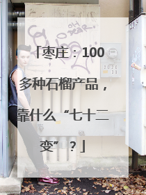 枣庄：100多种石榴产品，靠什么“七十二变”？