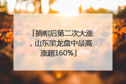 摘帽后第二次大涨，山东墨龙盘中最高涨超160%