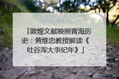 敦煌文献映照青海历史：黄维忠教授解读《吐谷浑大事纪年》