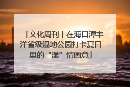文化周刊丨在海口潭丰洋省级湿地公园打卡夏日里的“湿”情画意
