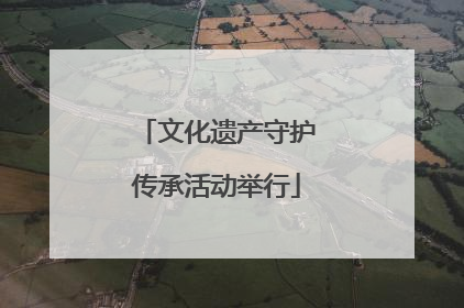 文化遗产守护传承活动举行