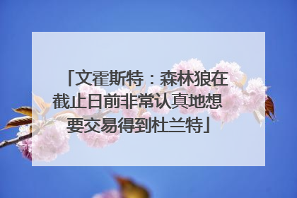 文霍斯特：森林狼在截止日前非常认真地想要交易得到杜兰特