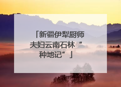 新疆伊犁厨师夫妇云南石林“种地记”