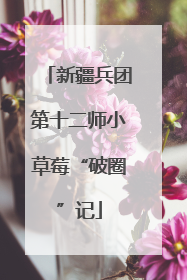 新疆兵团第十二师小草莓“破圈”记
