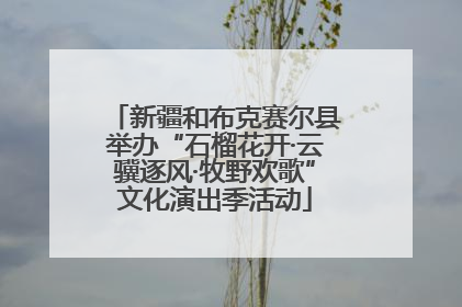 新疆和布克赛尔县举办“石榴花开·云骥逐风·牧野欢歌”文化演出季活动