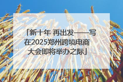 新十年 再出发——写在2025郑州跨境电商大会即将举办之际