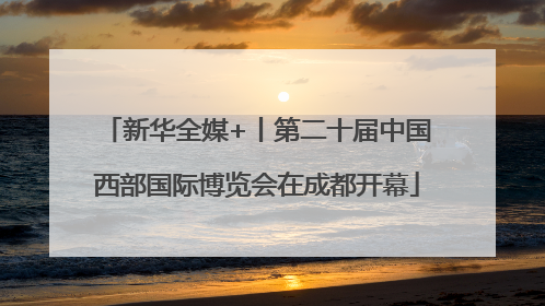 新华全媒+丨第二十届中国西部国际博览会在成都开幕