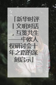 新华时评丨文明对话，互鉴共生——中欧人权研讨会十年之路的深刻启示