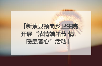 新蔡县顿岗乡卫生院开展“浓情端午节 情暖患者心”活动