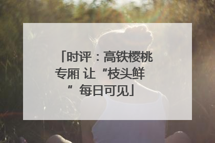 时评：高铁樱桃专厢 让“枝头鲜”每日可见