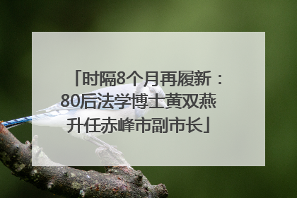 时隔8个月再履新：80后法学博士黄双燕升任赤峰市副市长