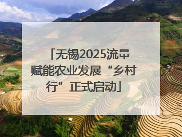 无锡2025流量赋能农业发展“乡村行”正式启动