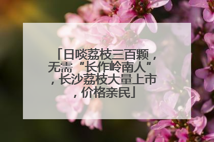 日啖荔枝三百颗，无需“长作岭南人”，长沙荔枝大量上市，价格亲民