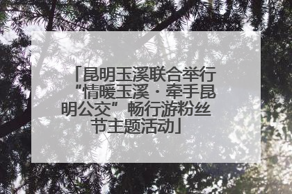 昆明玉溪联合举行“情暖玉溪・牵手昆明公交”畅行游粉丝节主题活动