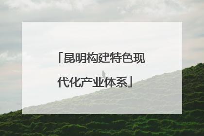 昆明构建特色现代化产业体系