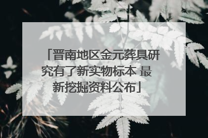 晋南地区金元葬具研究有了新实物标本 最新挖掘资料公布