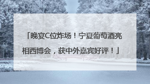 晚宴C位炸场！宁夏葡萄酒亮相西博会，获中外嘉宾好评！