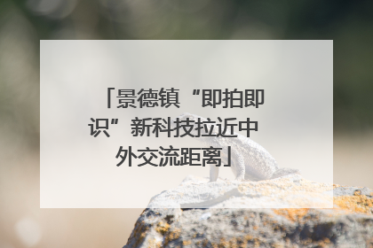 景德镇“即拍即识”新科技拉近中外交流距离