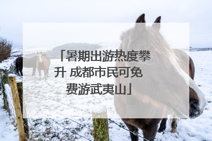 暑期出游热度攀升 成都市民可免费游武夷山
