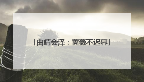 曲靖会泽：蔷薇不迟暮