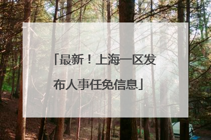 最新！上海一区发布人事任免信息
