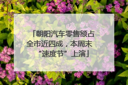 朝阳汽车零售额占全市近四成，本周末“速度节”上演