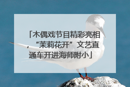 木偶戏节目精彩亮相，“茉莉花开”文艺直通车开进海师附小
