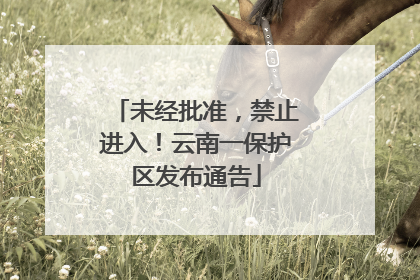 未经批准，禁止进入！云南一保护区发布通告