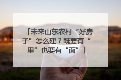 未来山东农村“好房子”怎么建？既要有“里”也要有“面”